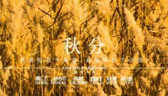 秋分丨晝夜分畫，漸入秋華
