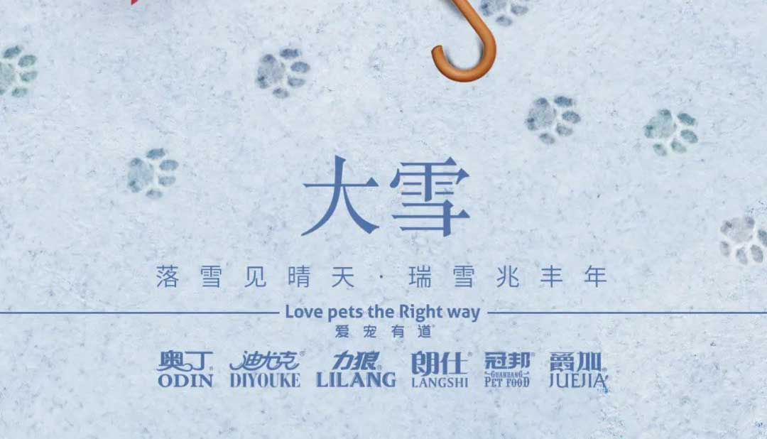 大雪丨雪落知寒意 久伴見初心！