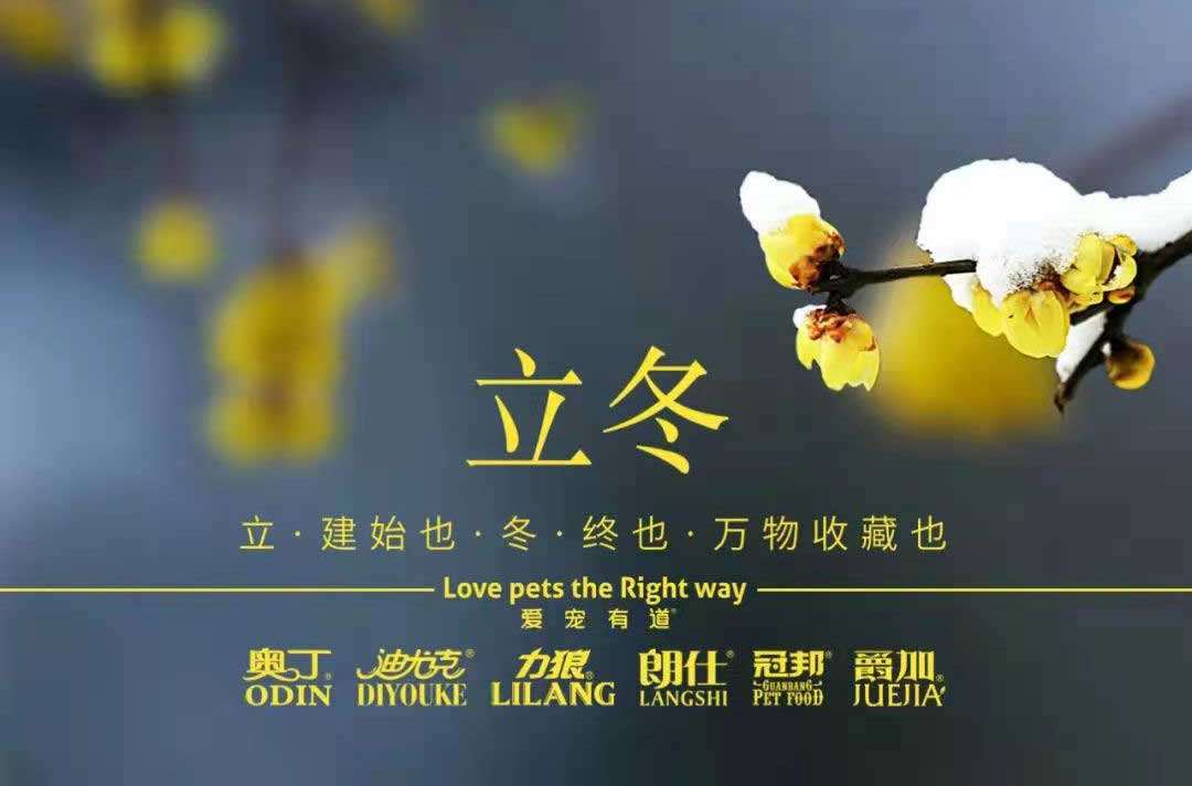 立冬丨冬寒初始，情暖愈濃