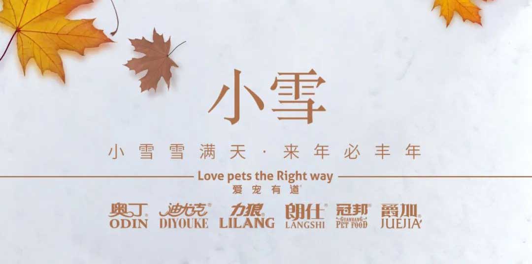 小雪丨天地初寒，歲月安暖